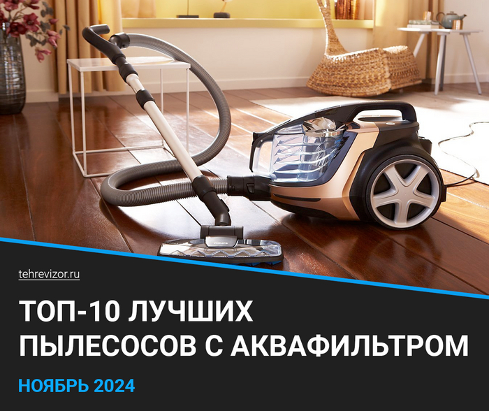    :  2024  ( 10) ,  , , ,  , , , 