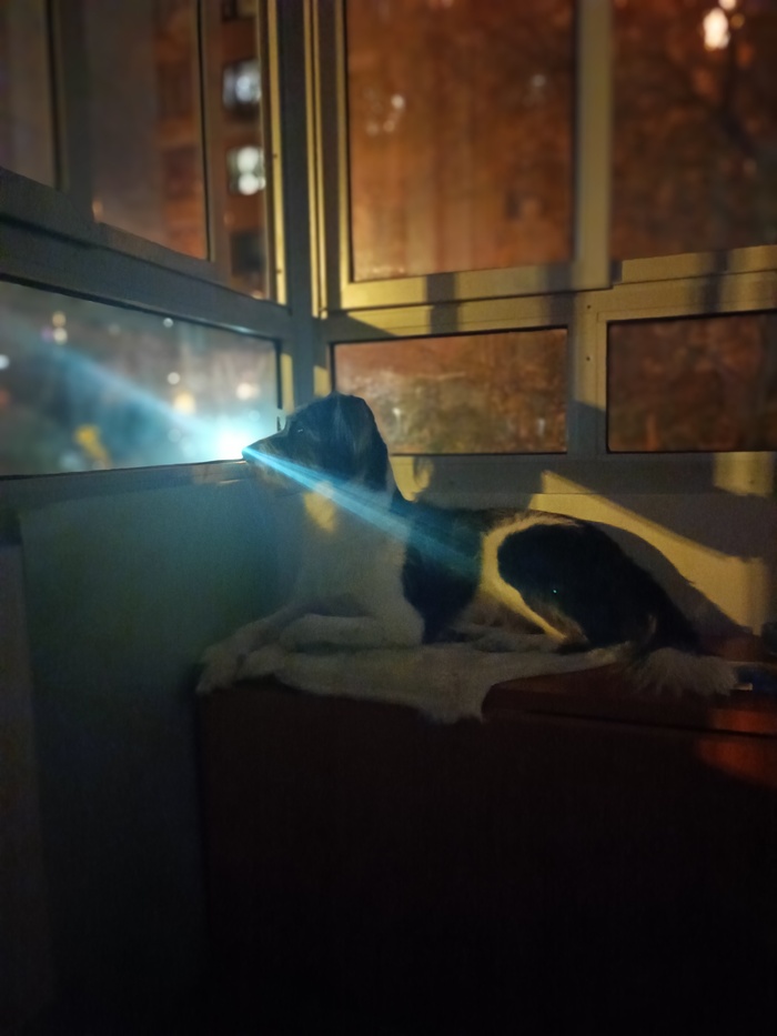 ����, ���� � �