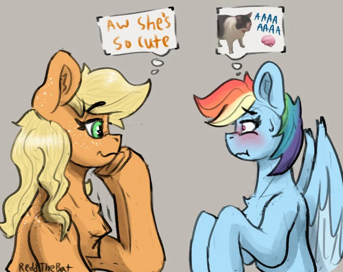 Thoughts - My little pony, Rainbow dash, Applejack, MLP Lesbian, Shipping, Reddthebat