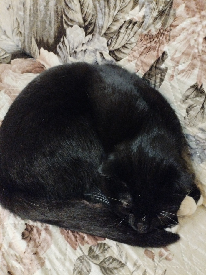 �� ��� �� ���, � ��� ���������� ��������� 