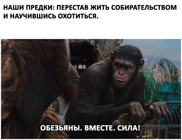 Обезьяны. Вместе. Сила!