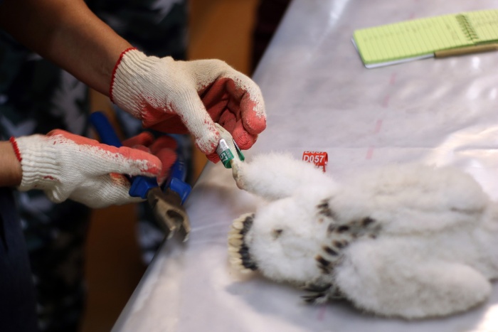  ,  ,     D057, 11  2019  (  ..)