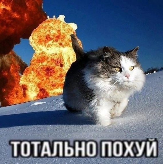    ? , , , , ,  ,   , , 