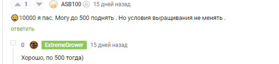 Выращиваю гигантский арбуз в квартире. Часть 2 | Пикабу