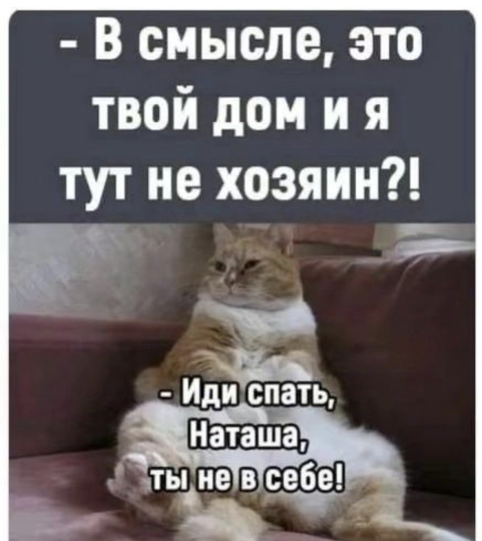      ? , , ,  ,  (),  , ,  ,  