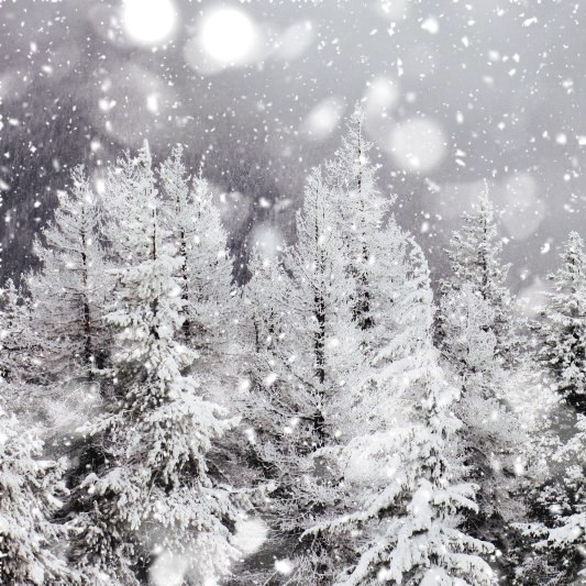 Предзимье... отрешённость... снегопад...