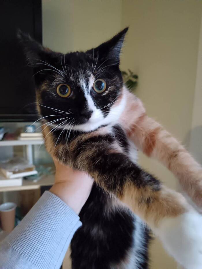 ����������� ������� �� ����� � ����! ����?