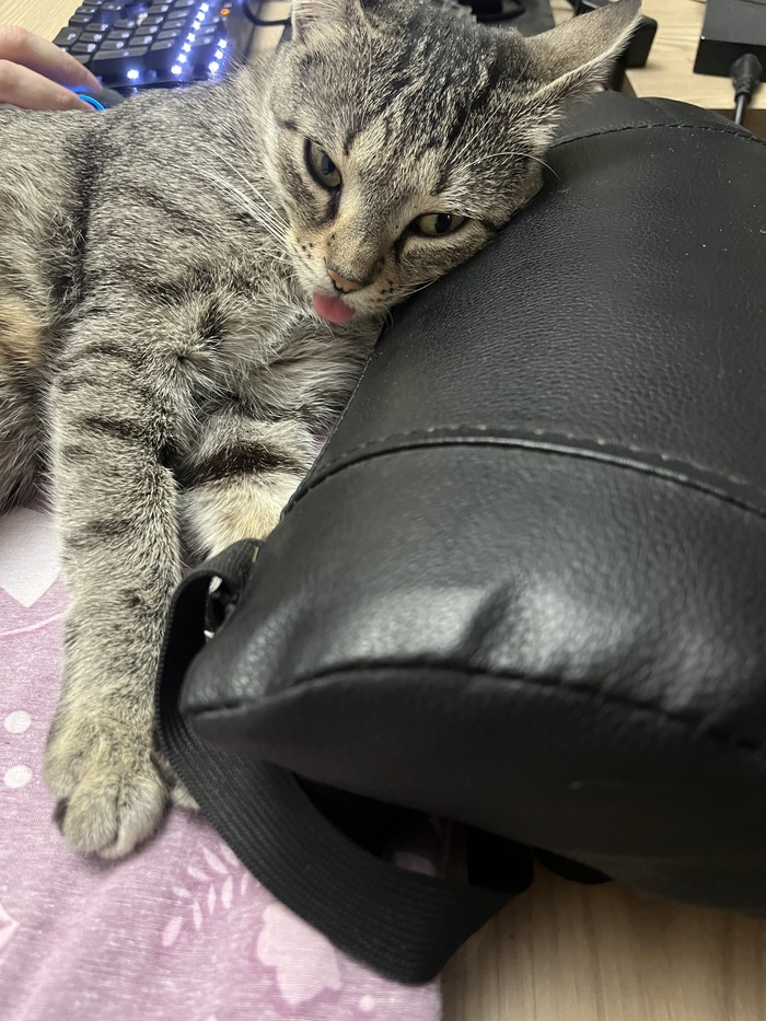  , , , 