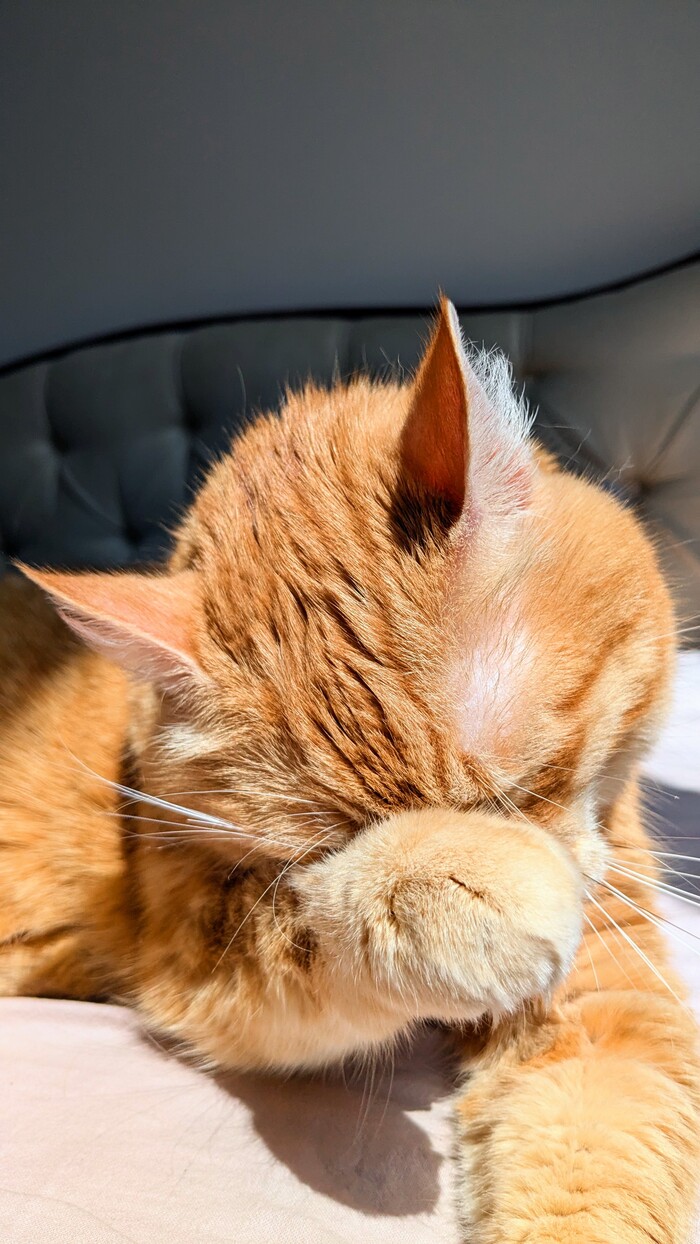 ����� �������)