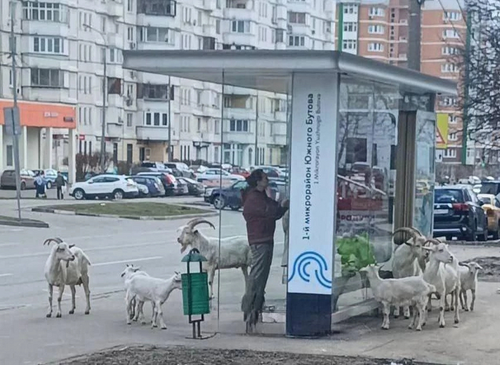 Природа Москвы прекрасна!