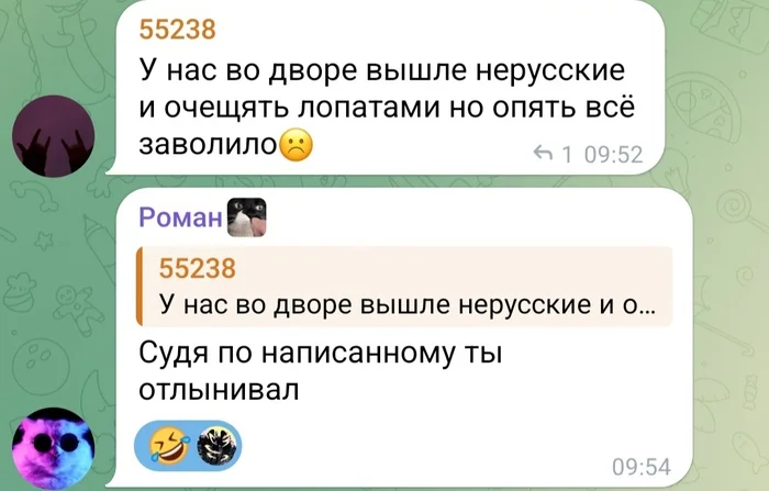 Chat of the city that is in the snow. (Blagoveshchensk) - My, Humor, Grammar Nazi, Screenshot