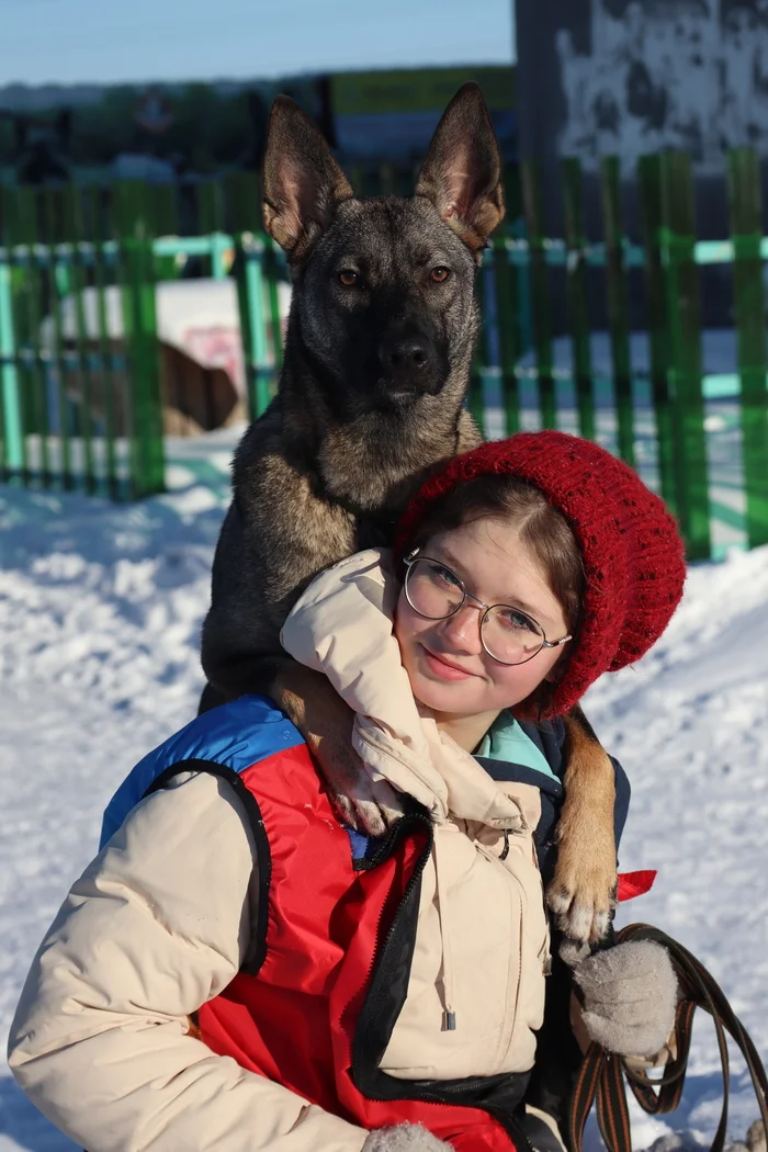 Dog training in Omsk - OCSSSS 11/23/24 - Dog, Puppies, Omsk, Training, Г“Г±Г±Г±, Friend, Care, Kindness, Dog breeding, Friends, Dog lovers, Longpost