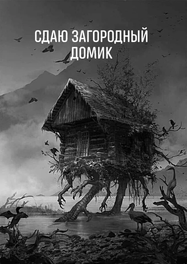 I am renting out a house - Humor, Memes, Witches, Baba Yaga, Magic, Witchcraft, Picture with text, Witch, Magic, Wizards, Telegram (link), Fairy tale for adults