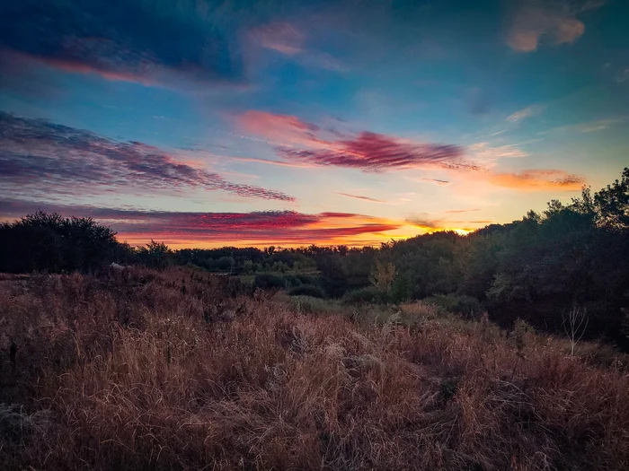 Summer sunrise - My, Morning, Sunrise, Tree, Grass, Sky, Clouds, The photo