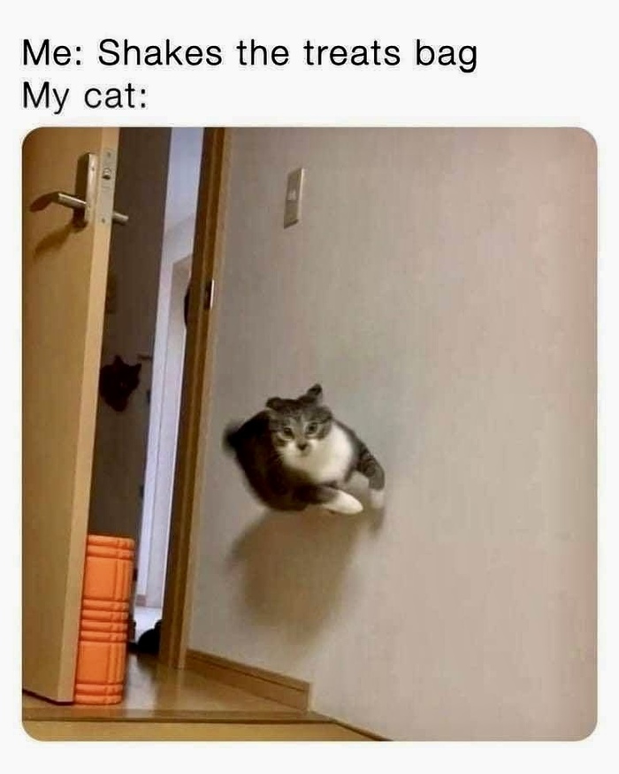   ,   