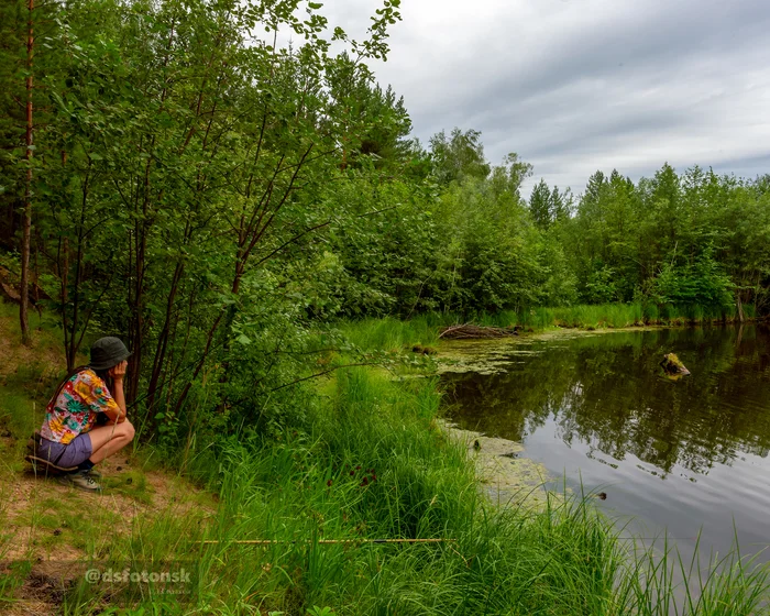 On the shore of a small lake in the taiga - My, Yakutia, The nature of Russia, Fishing, Float, North