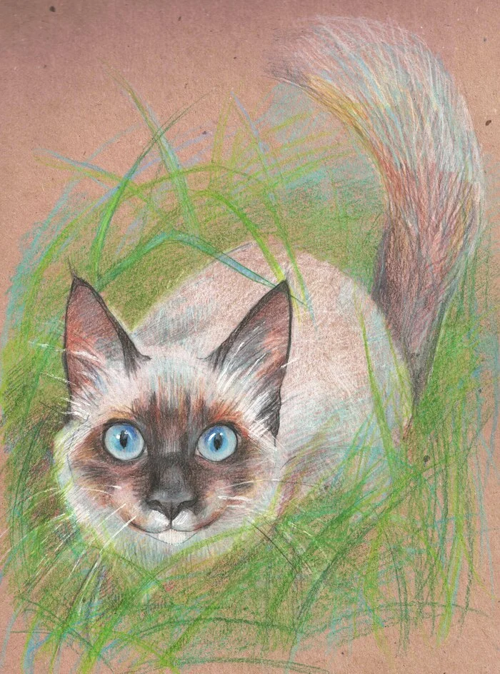 In the grass - My, Luboff00, Colour pencils, Graphics, Liner, Traditional art, cat, Animalistics