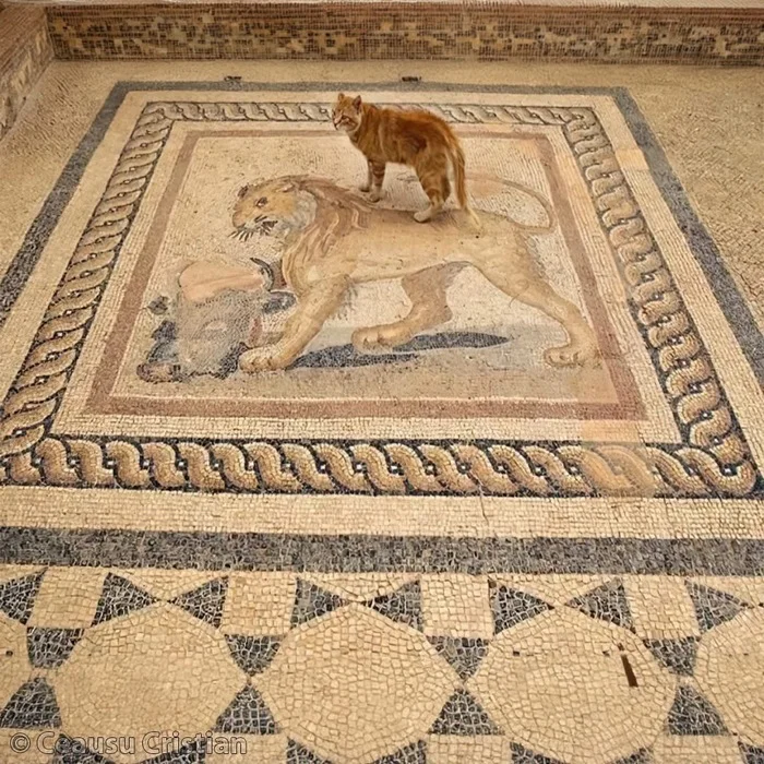 Past and Present - cat, Mosaic