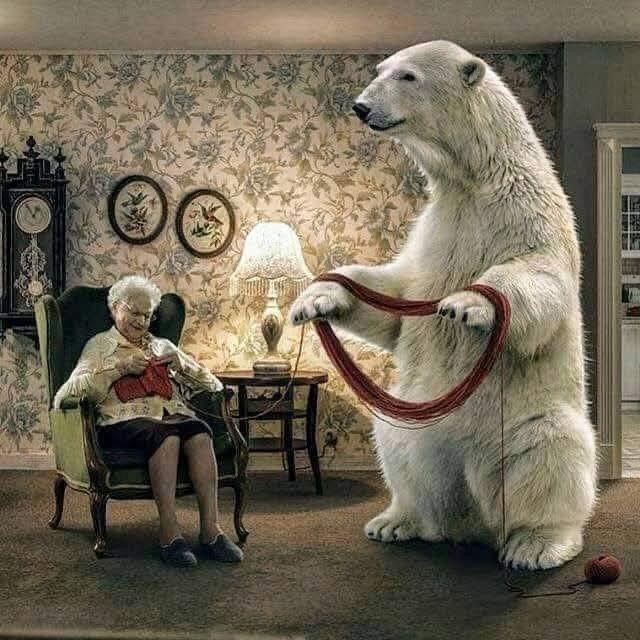 Маша и медведь 60 лет спустя