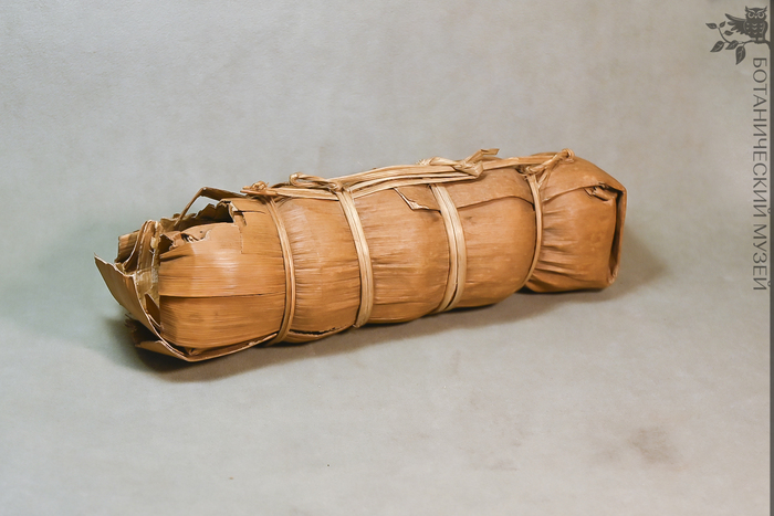     .  , .  .. .       .