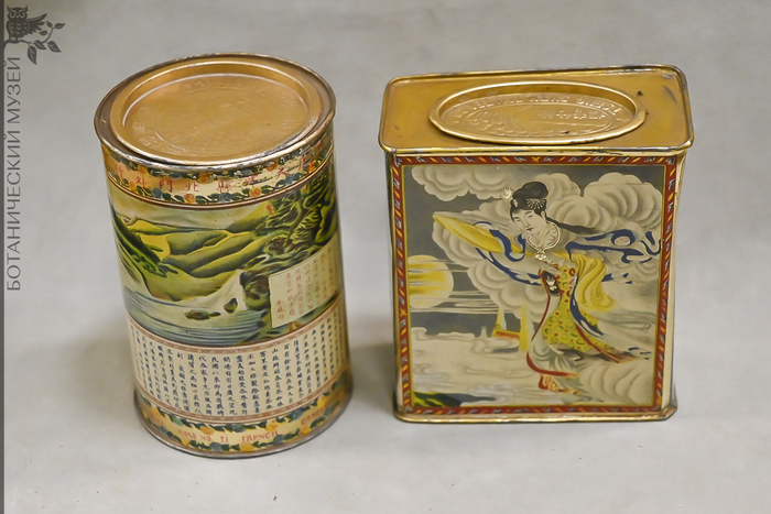     , .  ..  1929 .       .