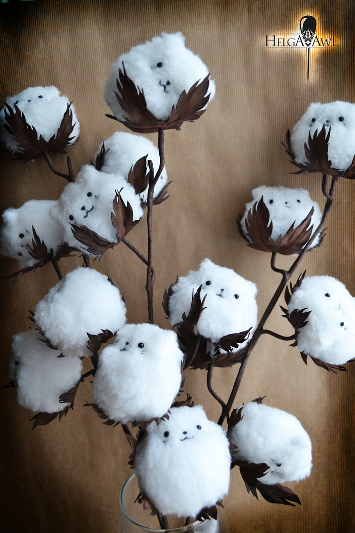 Хлопковые котики