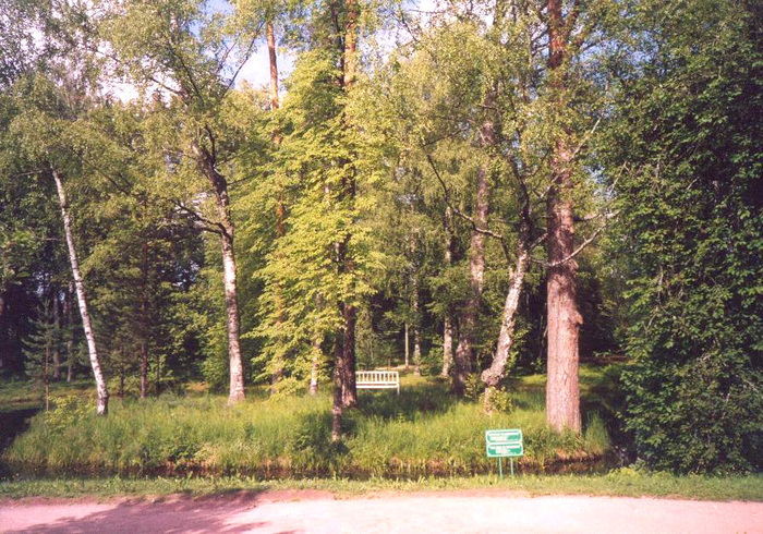 Михайловское. Островок со скамейкой