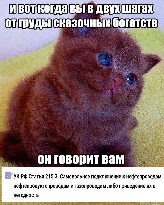А счастье было так близко