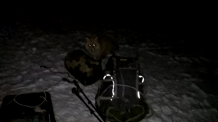 ������ 360. ���� 4