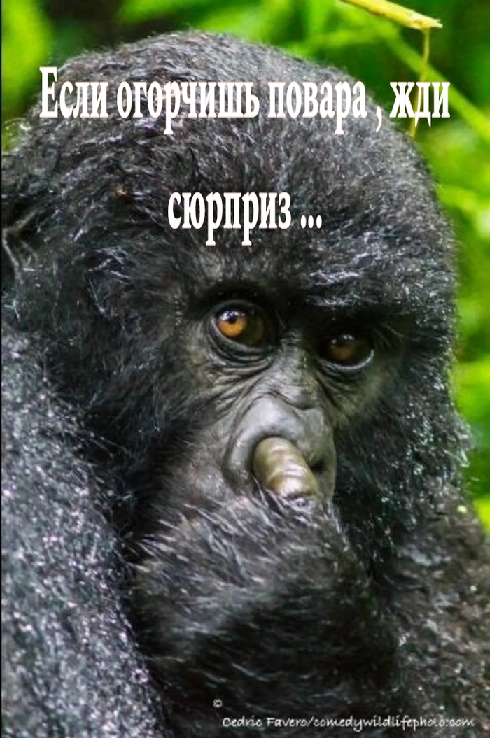   ... -, ,   