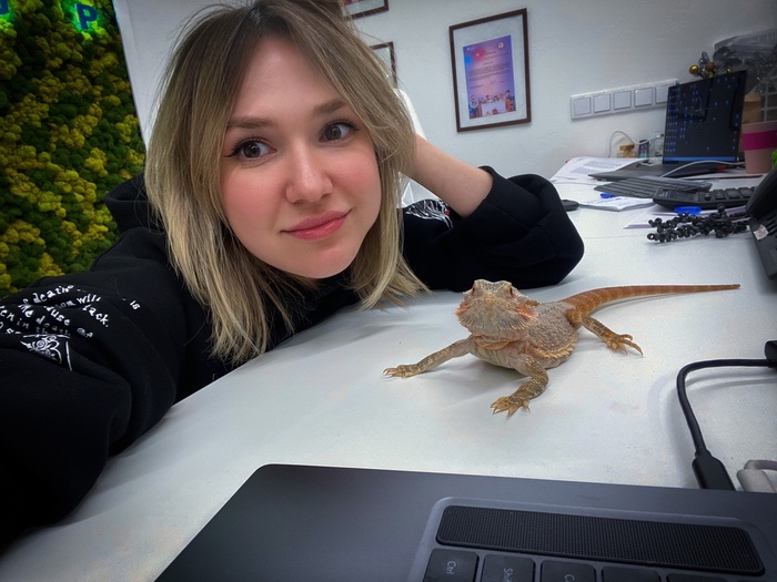 Это чудо жило у меня на прошлой работе:)