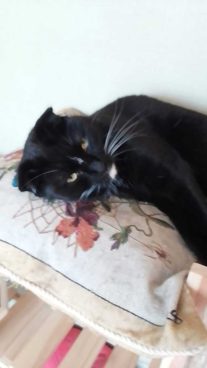 ��� ������, �� ������� ���������.