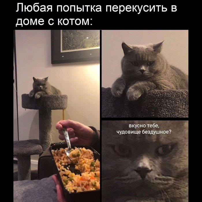 Вот так, да?