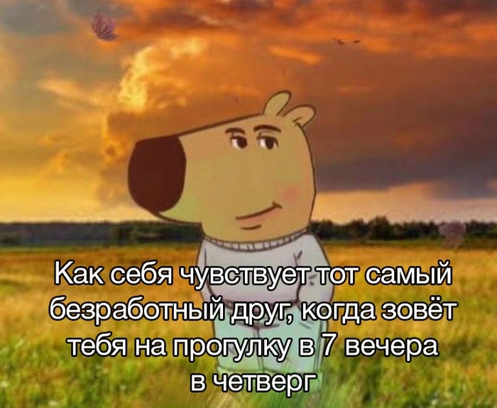      , ,  , ,   , , , 