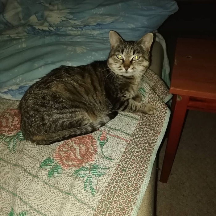 Требует завтрак в постель