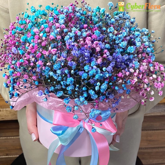 <a href="https://pikabu.ru/story/itogi_ukhodyashchego_2024_goda_v_mire_floristiki_12085841?u=https%3A%2F%2Fcyber-flora.ru%2Fbuket-gipsofily%2F&t=%D0%91%D1%83%D0%BA%D0%B5%D1%82%20%D0%B3%D0%B8%D0%BF%D1%81%D0%BE%D1%84%D0%B8%D0%BB%D1%8B%20%D0%B2%20%D0%BC%D0%B0%D0%B3%D0%B0%D0%B7%D0%B8%D0%BD%D0%B5%20%D0%9A%D0%B8%D0%B1%D0%B5%D1%80%20%D0%A4%D0%BB%D0%BE%D1%80%D0%B0&h=a1d89b1f4de9c1edc4d04a79fbca0e50cead1789" title="https://cyber-flora.ru/buket-gipsofily/" target="_blank" rel="nofollow noopener">     </a>