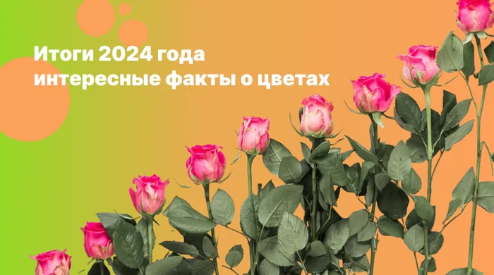 Итоги уходящего 2024 года в мире флористики - Моё, Опрос, Подарки, Цветы, Букет, Флора, Роза, Пионы, Тюльпаны, Ирисы, Гортензии, Длиннопост, Флористика, Итоги Года, 2024