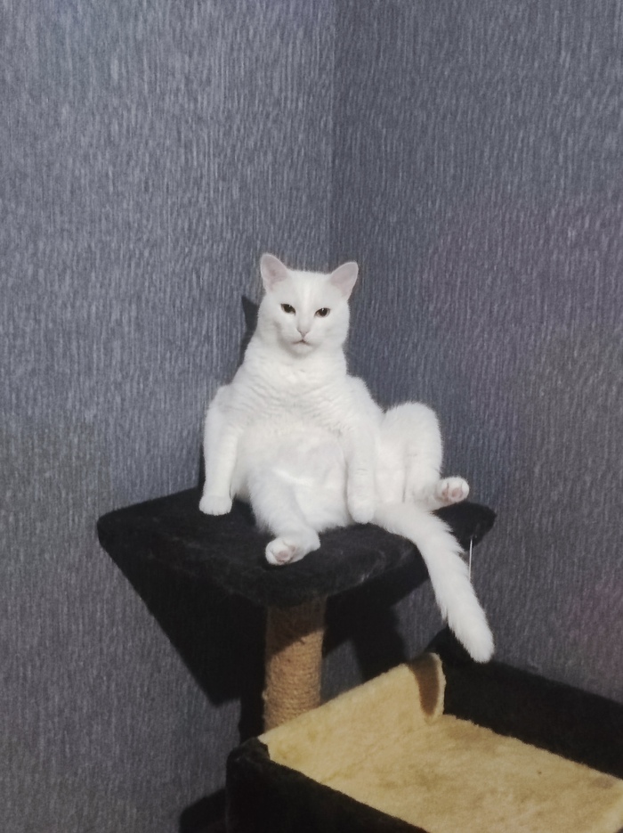    , , , 