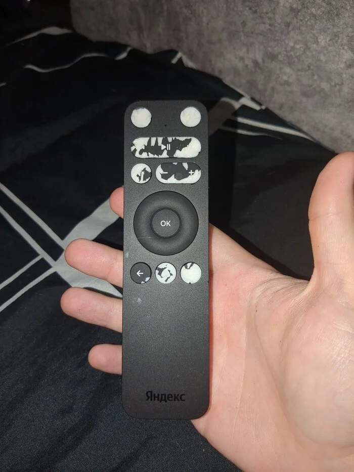 A rat has bitten the buttons on the remote control - My, Rat, Animals, Sadness, Remote controller, The photo