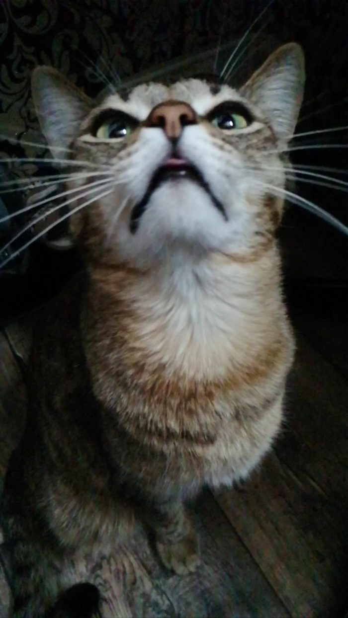      ,  , , ,  