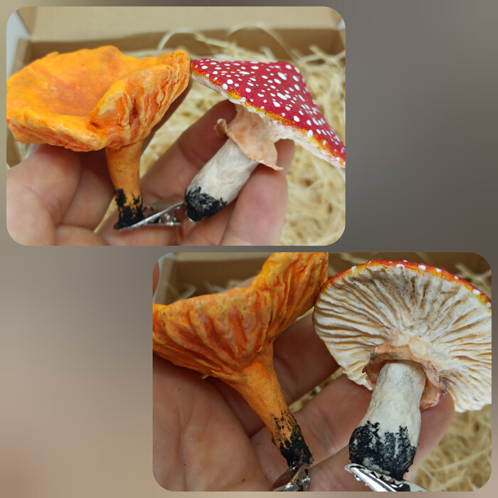 ,  ,   ,  ,  , ,  , 