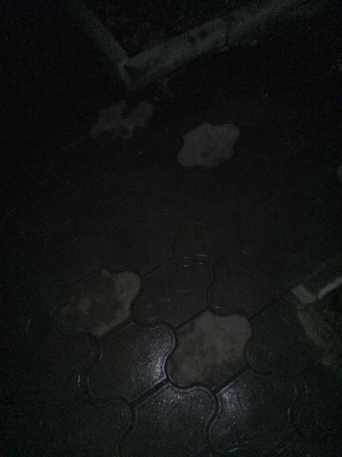  ,  ,  , , 