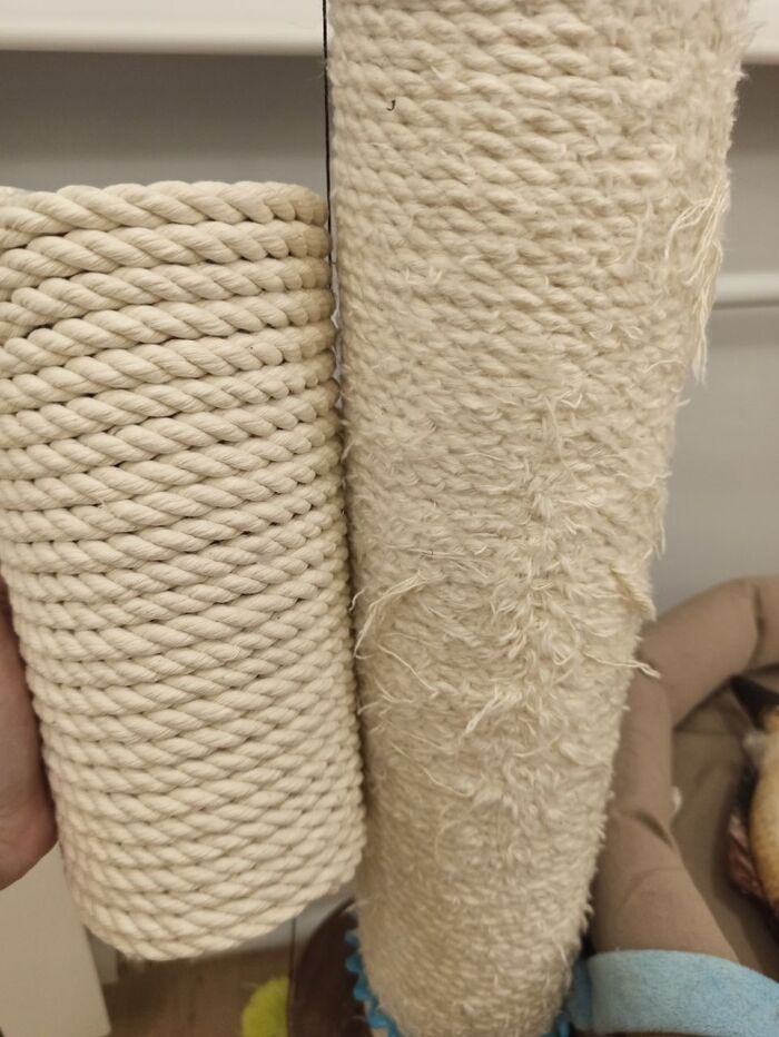 ��������� �� ������ ���������.