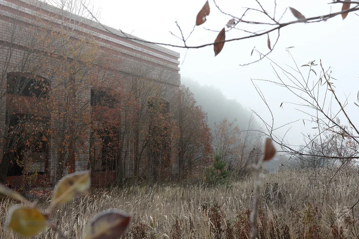 Abandoned - My, The photo, Autumn, Fog, Morning, Abandoned, Stalker