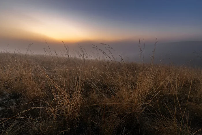 Fog and dew - My, Steppe, Rostov region, Landscape, Fog, Dew, The photo