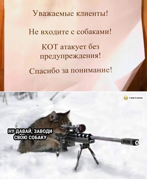 - , ,  ,   