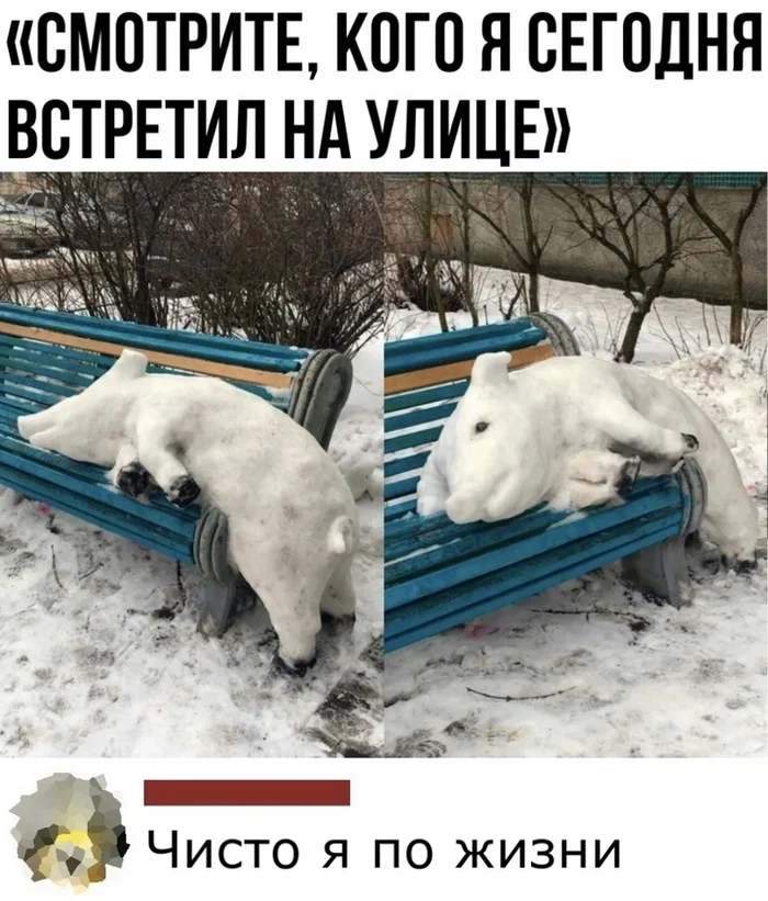 I met - Humor, Picture with text, snowman, Pig, Repeat, Bench