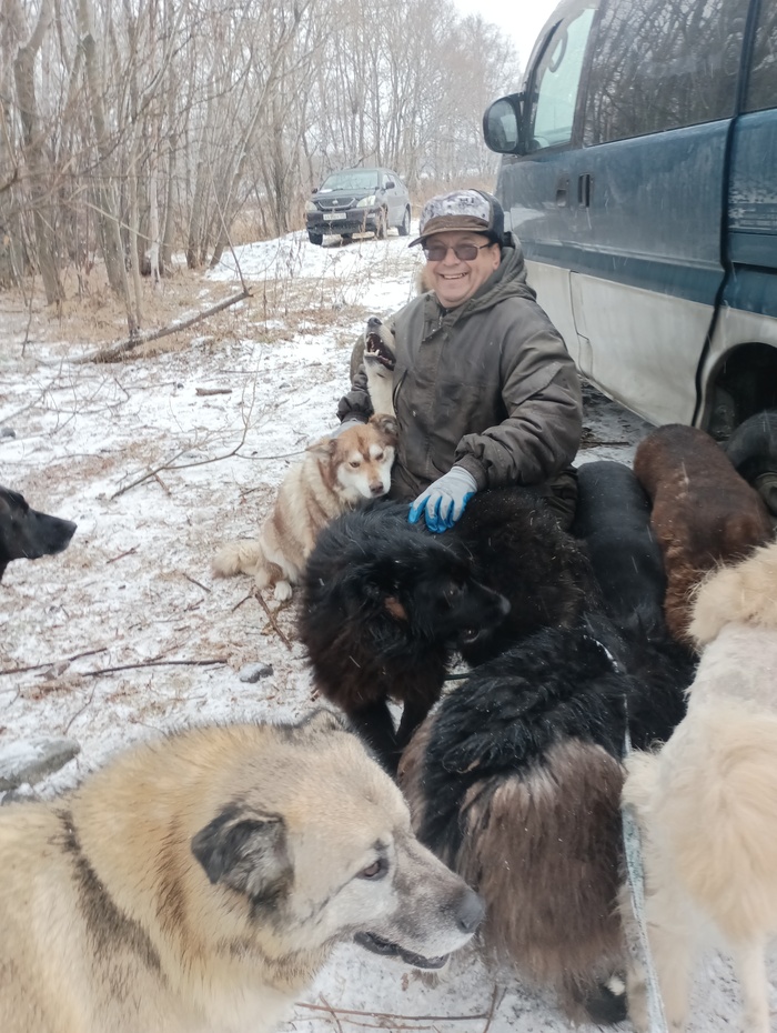 ������ ���������� � ������, ���� ��������� ����� ��������� ���������. �����, ��� � ���� ������ ����� ��������.