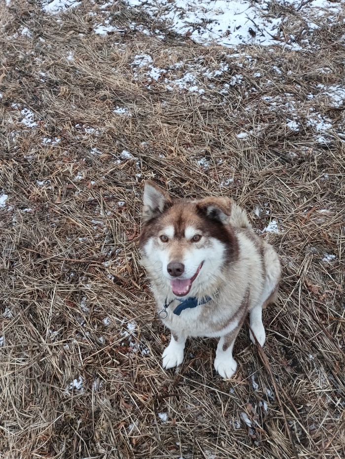 �����. ��� �� ��������� �� �����