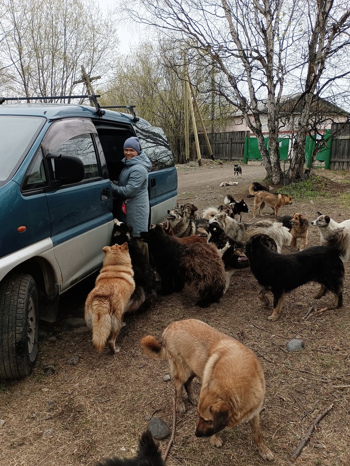 ���� ���������..